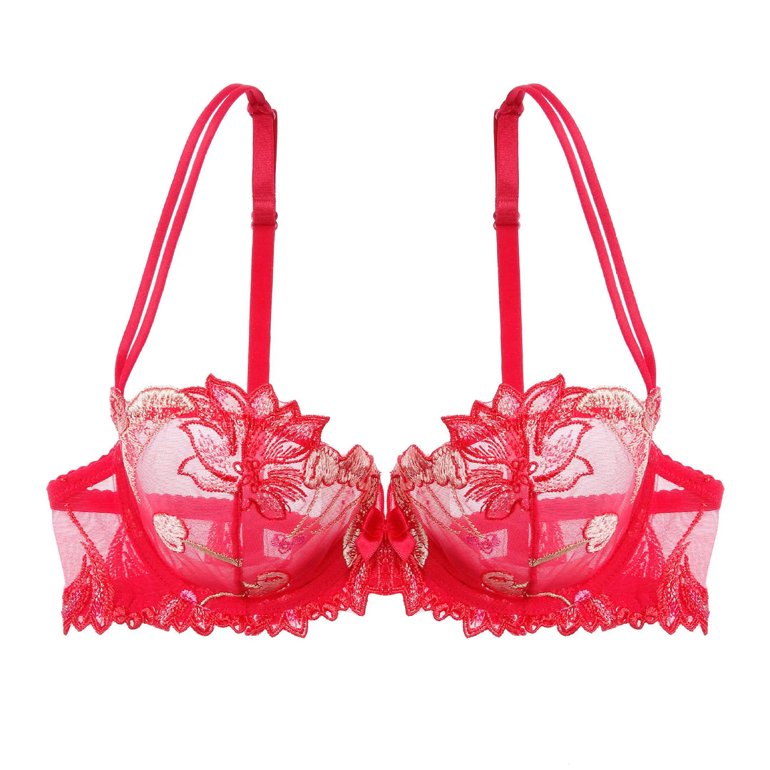 Soutien-gorge transparent brodé