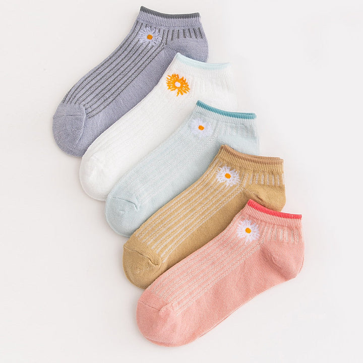 Chaussettes femme (5 paires)