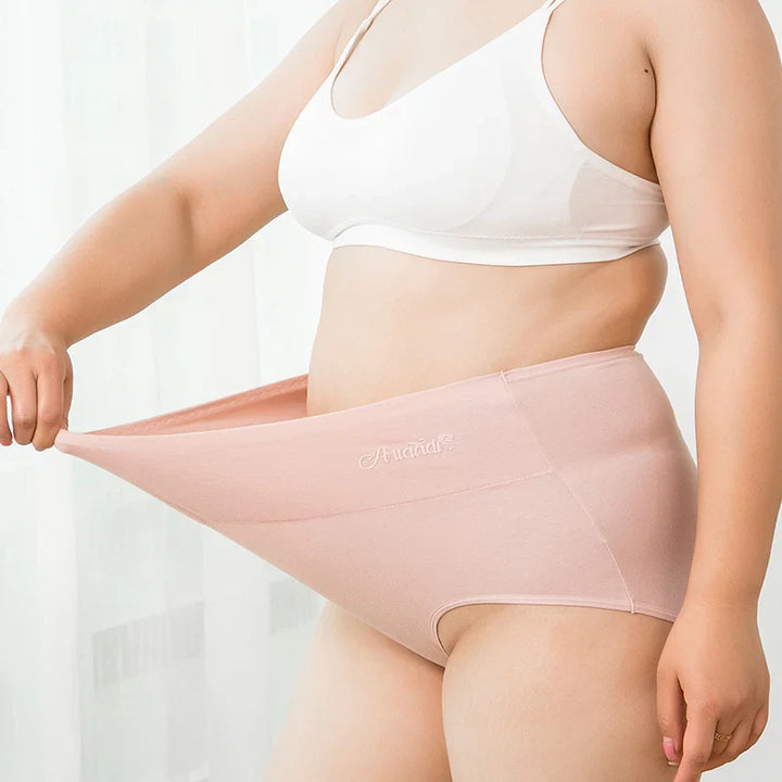 Lot de 4 culottes taille haute