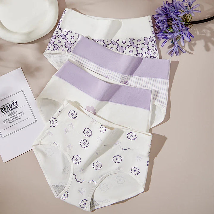 Lot de 4 culottes taille haute